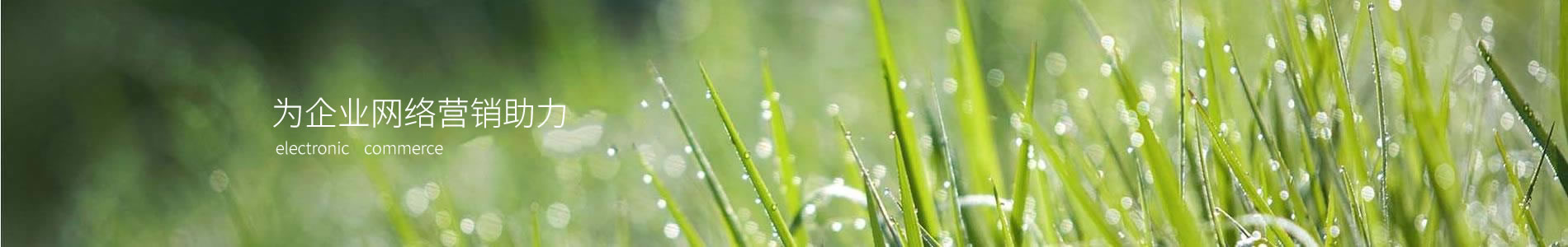 ڽĿƼ޹˾